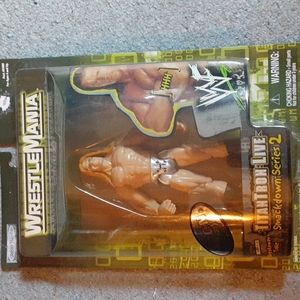 WWF Wrestlemania 2000 Triple-h figure